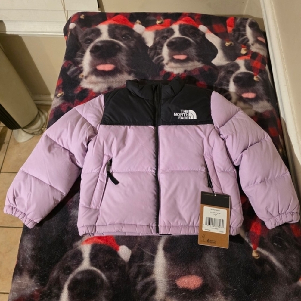 The North Face Light Purple Jacket with Black Zipper
